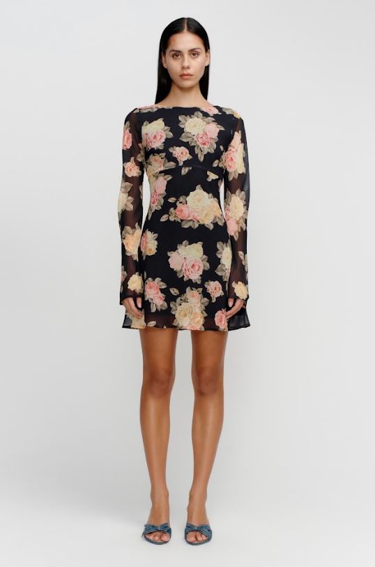 Ownley - Martini Mini Dress- Vintage Roses